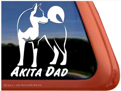 Decals NickerStickers DC305DAD