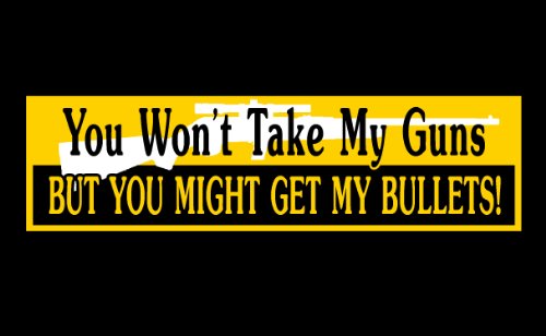 Decals Designer Signs Bumper Sticker - You Won't Take My Guns