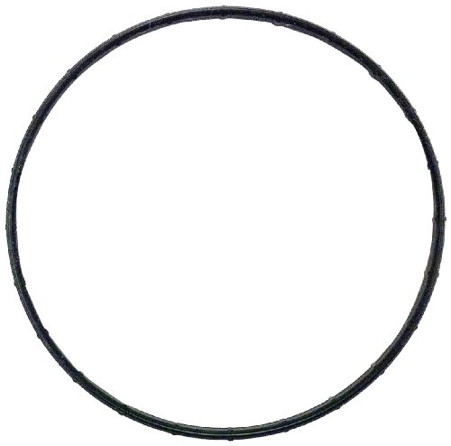 Thermostat Seals Magnum HD6580