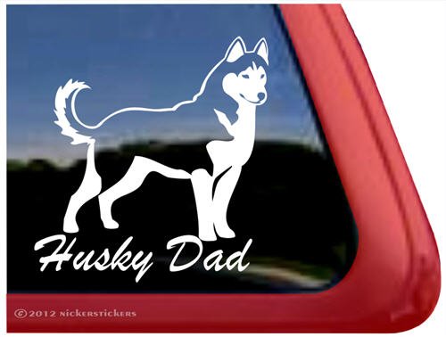 Bumper Stickers, Decals & Magnets NickerStickers DC386DAD