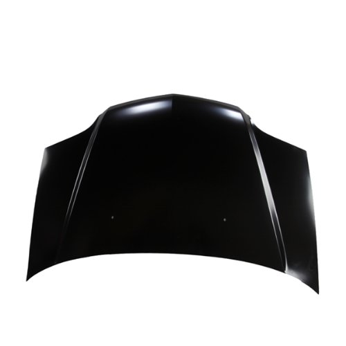 Hoods CarPartsDepot 391-10104