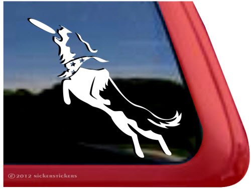 Bumper Stickers, Decals & Magnets NickerStickers DC516PLL