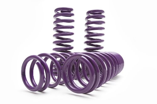 Coil Springs D2 D-SP-NI-03