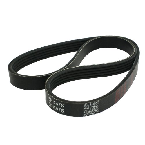 Serpentine Amico Amico