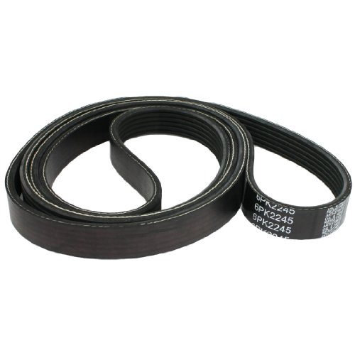 Serpentine Amico Amico