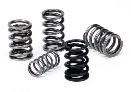 Supertech Valve Springs - INTEGRA - - - SPR-H1002D - B17A1 Engine Management Systems Supertech Performance SPR-H1002D