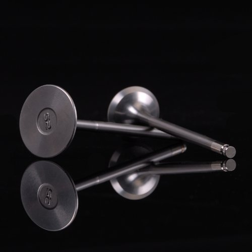 Intake Valves Skunk2 Racing 310-05-9540