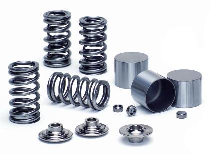 Springs Supertech Performance SPRK-TC25D-24