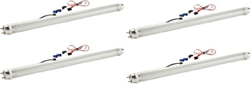 Light Bulbs Gold Stars T8188301-04