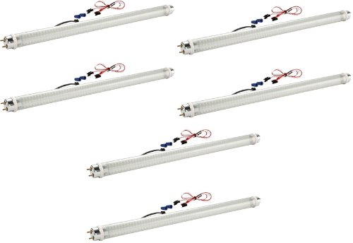 Light Bulbs Gold Stars T8188301-06
