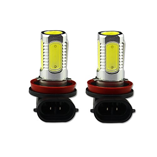 Bulbs ZITRADES Zitrades