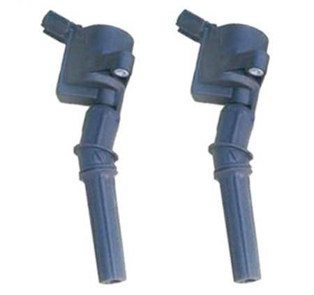 Coils MotorKing IC63-1