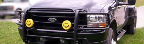 Grille & Brush Guards 0260TGD 02GF-60801