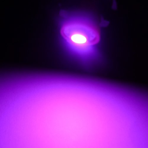 2x Super Purple Pink 1-SMD LED 194 168 SMD T10 W5W Wedge Light Bulbs Lamp 5050 Bulbs JDMBESTBOY T101SMDPURPLE