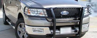 Grille & Brush Guards 0260TGD 02GF-60813