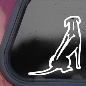 Decals supernomu 5055591214201