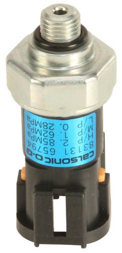 Fan OES Genuine W0133-1721584-OES