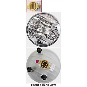 Bulbs TLN Auto Parts G107505