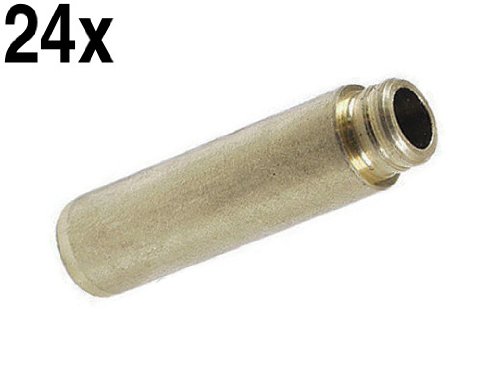 Guides Canyon Dancer VOL_12703918553x24