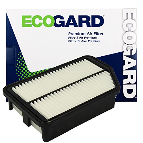 Air Filters EcoGard XA6118