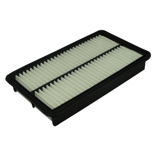 Air Filters EcoGard XA5525