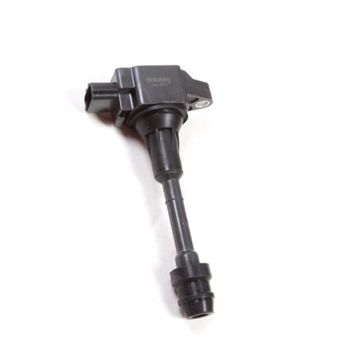 Coils MotorKing B2876-1