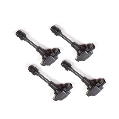 Coils MotorKing IC024-1