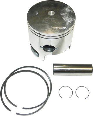 Caliper Pistons WSM 010-850K