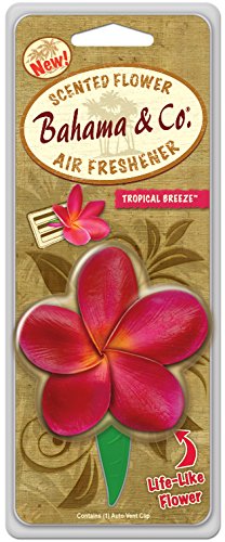 Air Fresheners Bahama & Co. 06752