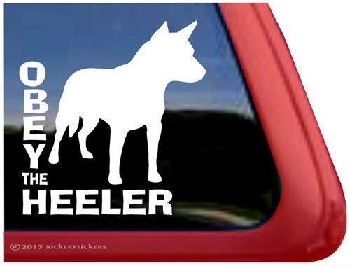 Bumper Stickers, Decals & Magnets NickerStickers DC808OBY