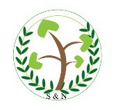 Yokohama ENVigor S321 Radial Tire - 205/45R17 84V Performance Yokohama 32131Y