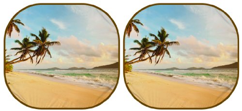 Windshield Sunshades Auto Expressions 804244