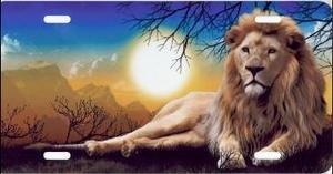 Covers Advanced Graphics T2255F