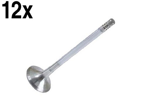 Exhaust Valves INTERVALVES AUD_058109611E9836133e x12