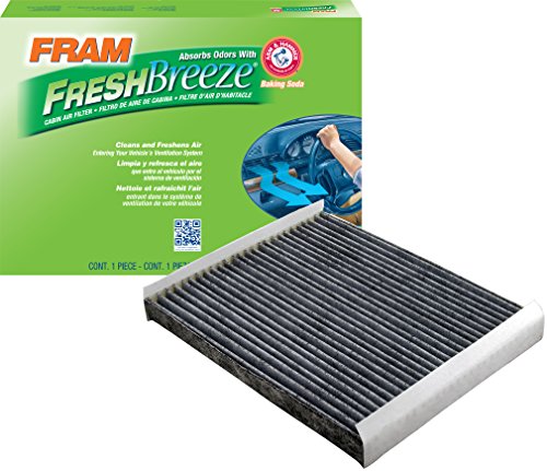 Air Filters Fram CF11174