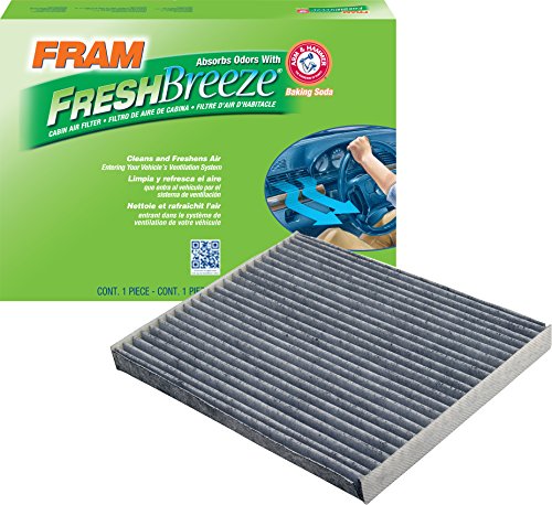 Air Filters Fram CF11184