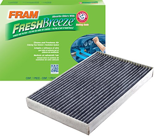 Air Filters Fram CF11181