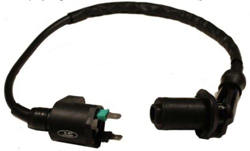 Intake Manifolds TK NEW IGNITION COIL 150cc 250cc HAMMERHEAD CARTER JOYNER GO KART DUNE BUGGY