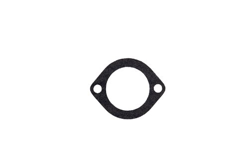 Thermostat Seals APDTY 4181101
