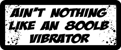 Bumper Stickers Sticker Pirate BS027