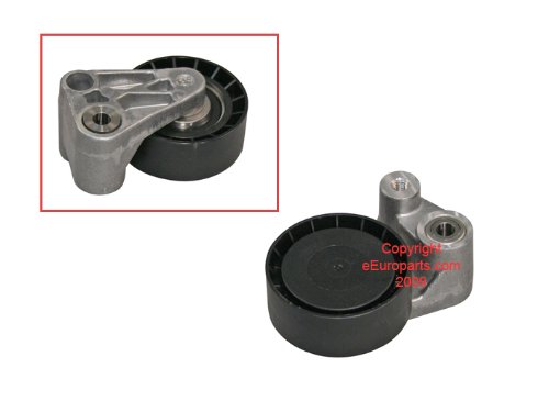 Idler INA BMW_11281702013884340