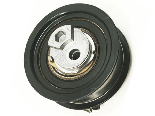 Timing Belts Litens AUD_06D109243B10711