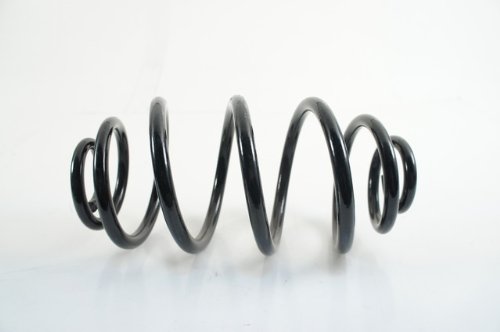 Coil Springs SAAB 12756717