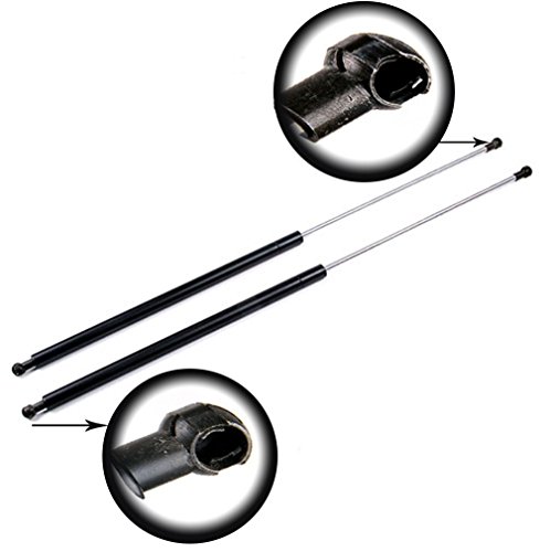 Lift Supports  DH Autopart
