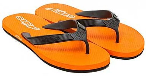 Shoes Alpinestars 1013-94040409