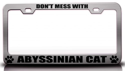DON'T MESS WITH ABYSSINIAN CAT Pet Steel Metal License Plate Frame Ch # 1 Frames Tag Xpress fexc00001750001