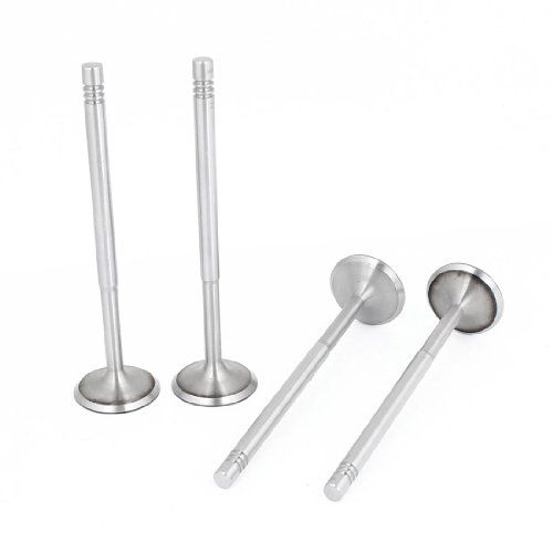 Exhaust Valves Amico Amico