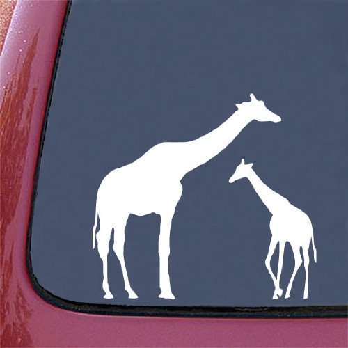 Bumper Stickers, Decals & Magnets Yadda-Yadda Design Co. CAR