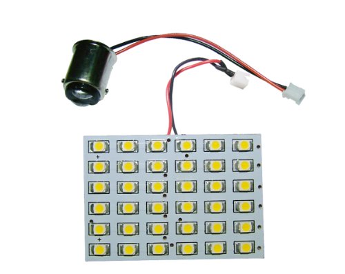 Bulbs GRV 2PD-363