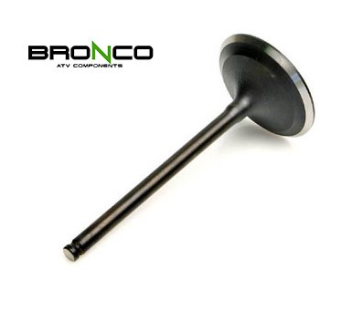 1989-1991 Yamaha YFUIW 350 PRO-HAULER ATV Engine Exhaust Valve Intake Valves Bronco BR-679133-117-ATV